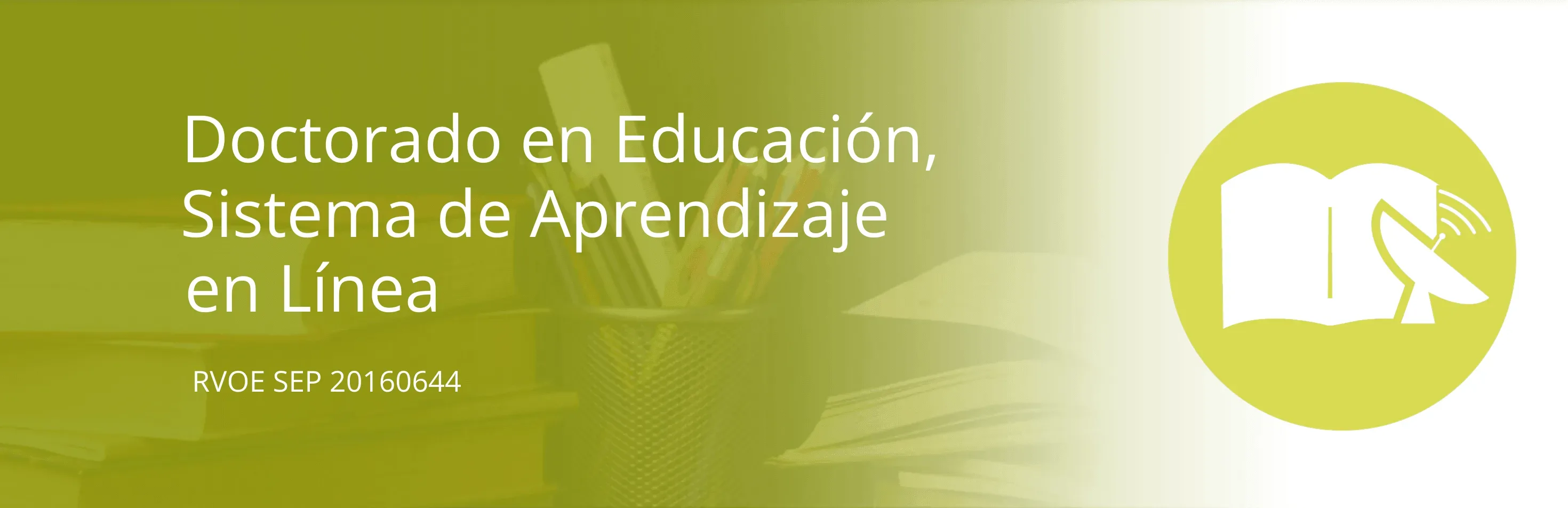 Doctorado en Educación, Sistema de Aprendizaje en Línea