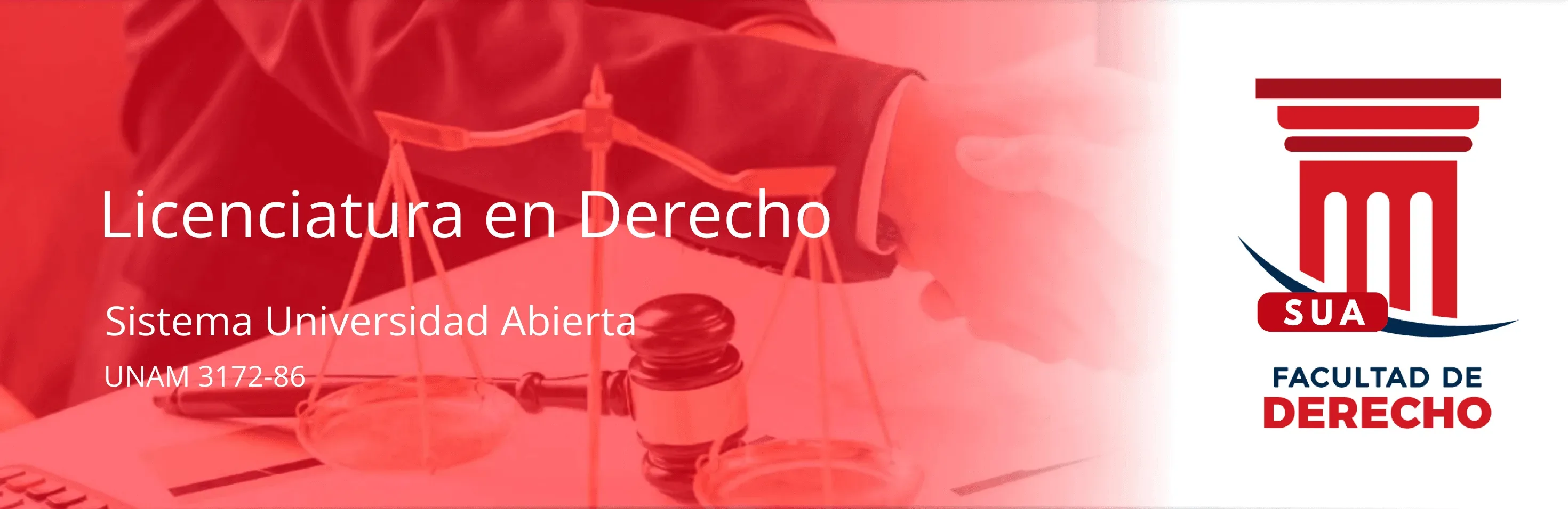 Contaduría Pública Estratégica