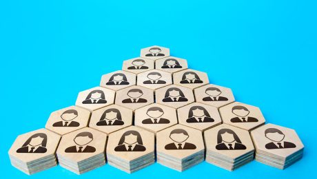 cómo es la organización política de méxico